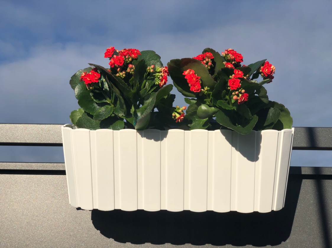 NABBI DDECZ400 plastový balkónový kvetináč 38,3 cm biela