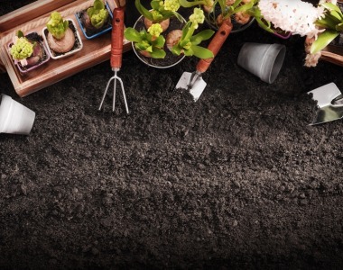 Príprava záhrady po zime Príprava záhrady po zime