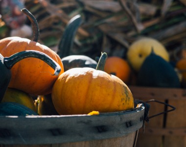 Aké dekorácie zvoliť v jednotlivých ročných obdobiach? Aké dekorácie zvoliť v jednotlivých ročných obdobiach?