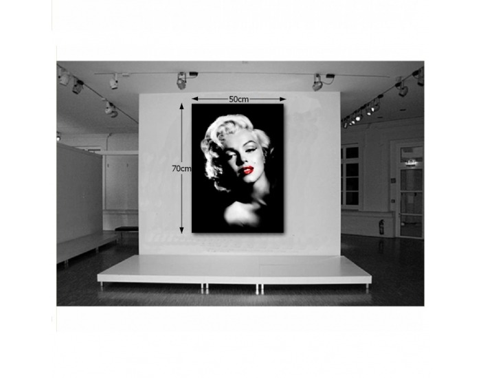 Dekoračný obraz T44 50x70 cm - Marilyn Monroe