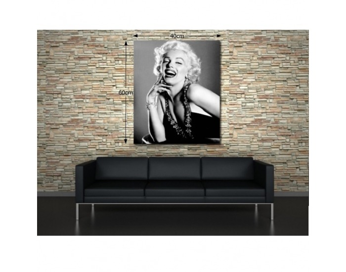 Dekoračný obraz T43 40x60 cm - Marilyn Monroe