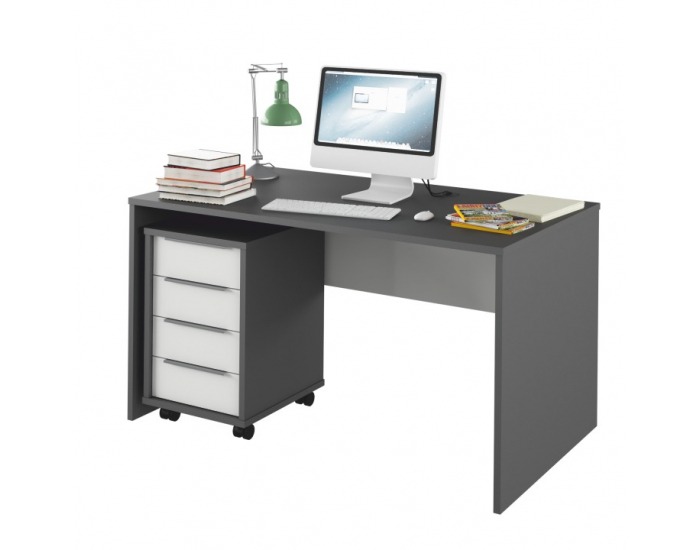 Písací stôl Rioma Typ 11 - grafit / biela