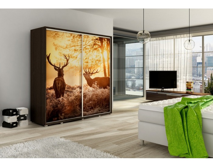 Šatníková skriňa s posuvnými dverami Jeleň 2D - choco