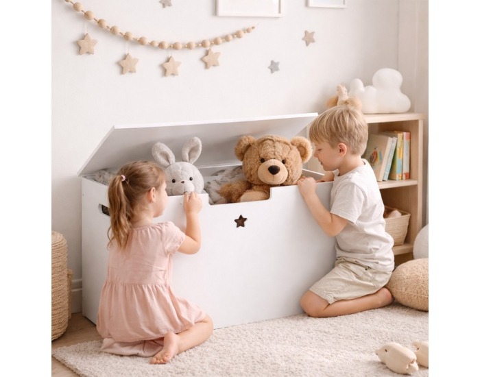 Drevený box na hračky Bolis - biela