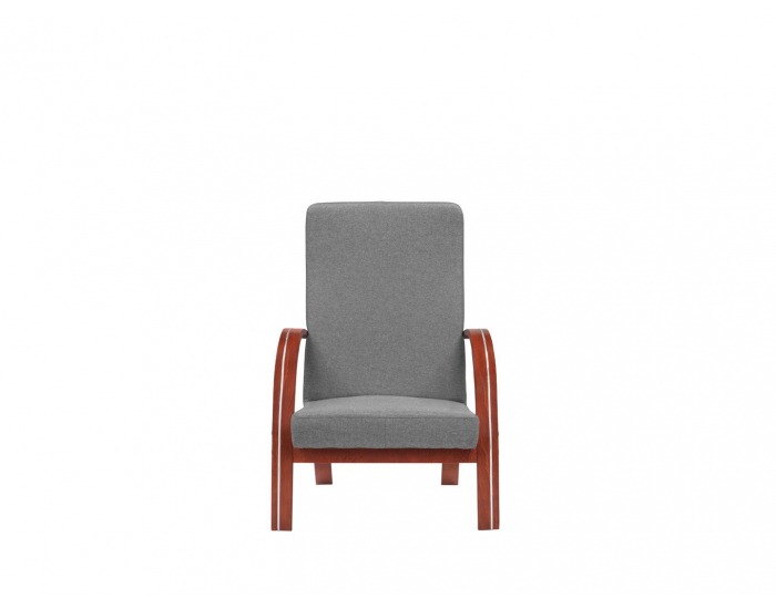 Kreslo Jeff - sivá / drevo (TX007)