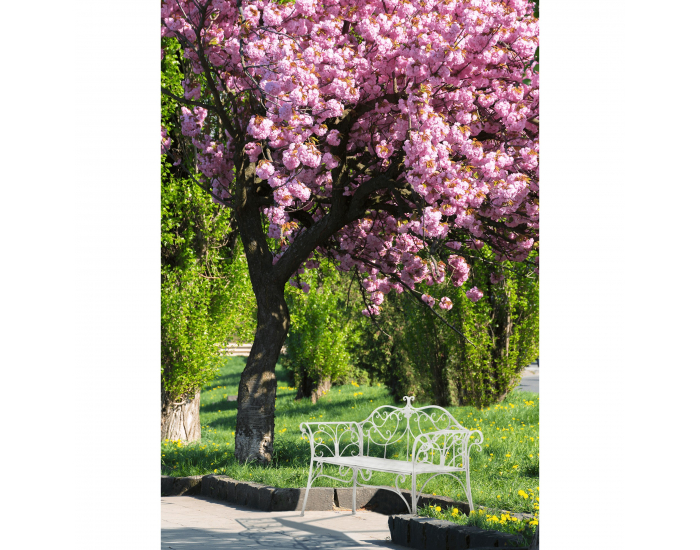 Záhradná lavička Etelia New - biela