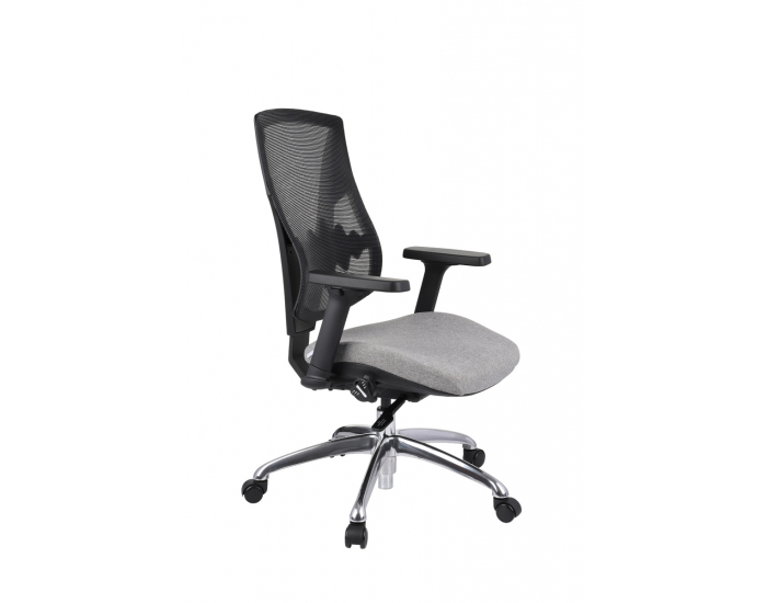 Kancelárska stolička s podrúčkami Forbes 3S Plus - sivá / čierna / chróm