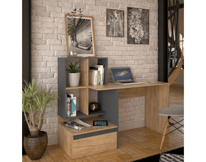 Písací stôl Nereo 2 New - dub artisan / grafit