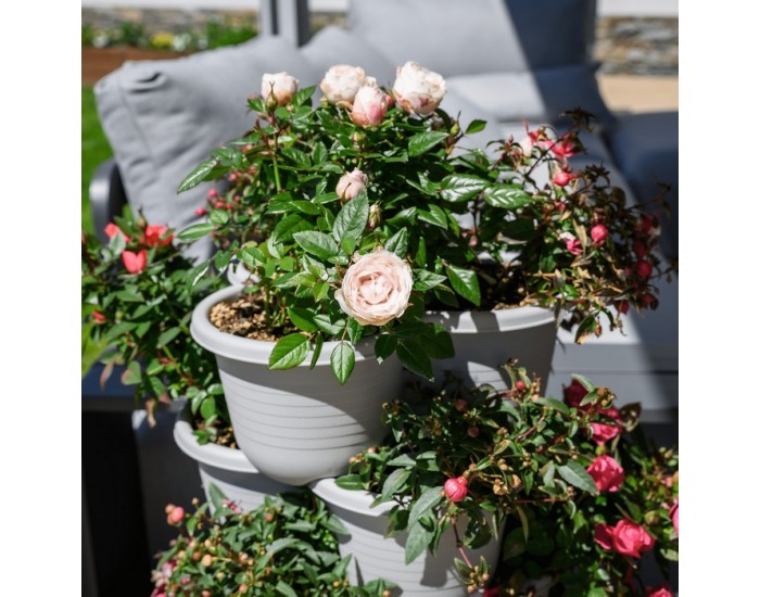 Kaskádový stohovateľný kvetináč (6 ks) Pixelt - sivá