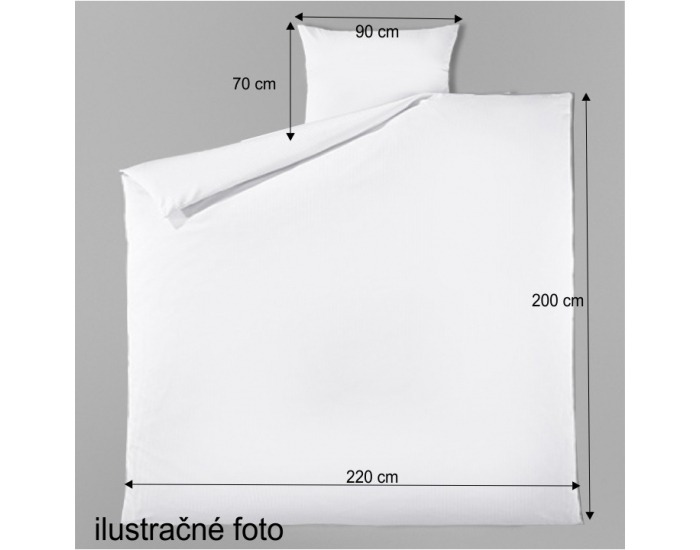 Antialergický paplón a vankúš (2 ks) Sweet 220x200/70x90 cm - biela