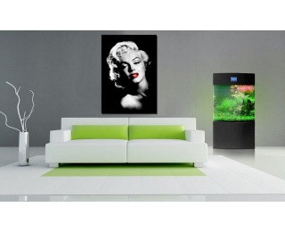 Dekoračný obraz T44 50x70 cm - Marilyn Monroe