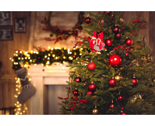 Vianočný stromček Christee 15 150 cm - zelená / biela