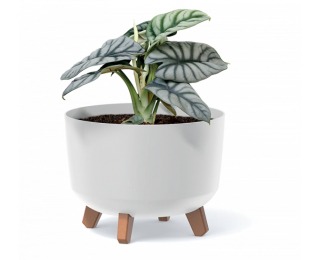 Plastový kvetináč na nožičkách DGRL400L 37,9 cm - svetlosivá
