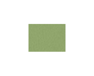 Jedálenská stolička Tulipan - chróm / zelená ekokoža (V47)