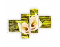 Dekoračný obraz NP 46 160x100 cm - kombinácia farieb