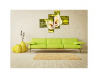 Dekoračný obraz NP 46 160x100 cm - kombinácia farieb