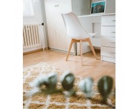 Jedálenská stolička Bali 3 New - biela / buk