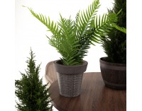 Plastový kvetináč Begon - sivá