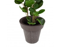 Plastový kvetináč Begon - sivá