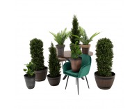 Plastový kvetináč Begon - sivá