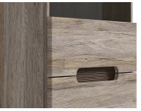 Vitrína s osvetlením Azteca REG1W1D/19/6 - dub san remo / wenge magia