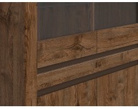 Vitrína Kada REG2W2D - dub april