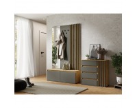 Jednodverová komoda so zásuvkami Deris 1D4Z - grafit / dub artisan