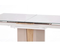 Sklenený rozkladací jedálenský stôl Cameron - champagne lesk / dub sonoma