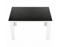 Jedálenský stôl Kraz 120x80 cm - biela / čierna