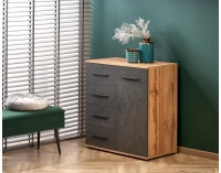 Jednodverová komoda so zásuvkami Lima KM2 - dub wotan / sivá