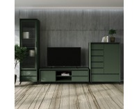 Vitrína Longy Reg1W - smoke zelená / čierna