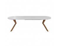 Rozkladací jedálenský stôl Lukos 100-250/75,5 cm - biela / dub