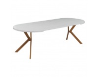 Rozkladací jedálenský stôl Lukos 100-250/75,5 cm - biela / dub