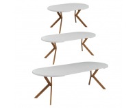 Rozkladací jedálenský stôl Lukos 100-250/75,5 cm - biela / dub
