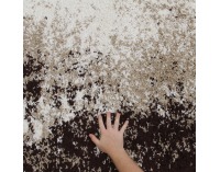 Koberec Lynton 160x235 cm - krémová / hnedá