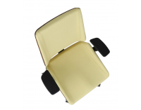 Kancelárska stolička s podrúčkami Munos Wood - žltá / orech svetlý / chróm