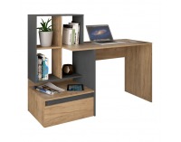 Písací stôl Nereo 2 New - dub artisan / grafit