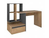Písací stôl Nereo 2 New - dub artisan / grafit