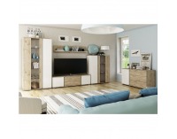 Nízka vitrína Leira 1D1W - dub wellington / biela