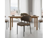 Jedálenská stolička Nuria - hnedá / jaseň / čierna