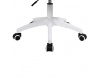 Kancelárske kreslo Pastura - sivá / biela