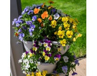 Kaskádový stohovateľný kvetináč (6 ks) Pixelt - sivá