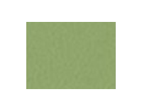 Jedálenská stolička Tulipan - chróm / zelená ekokoža (V47)