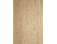 Regál Reg-22 - dub zlatý / biela