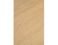 Regál Reg-23 - dub zlatý / biela