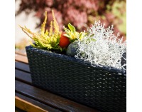 Ratanový kvetináč Tyrion - čierna