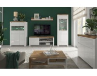 Dvojdverová komoda so zásuvkou Vilgo 2D1S - biely lesk / dub wotan